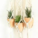 Immeuble L'aristocrate - Le Boho- Bd Carnot *