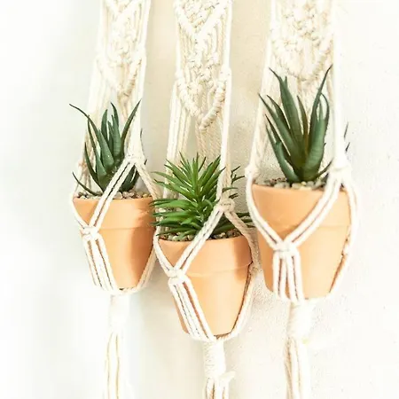 Immeuble L'aristocrate - Le Boho- Bd Carnot *