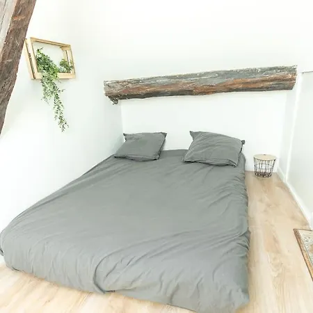 Immeuble L'aristocrate - Le Boho- Bd Carnot * Анже