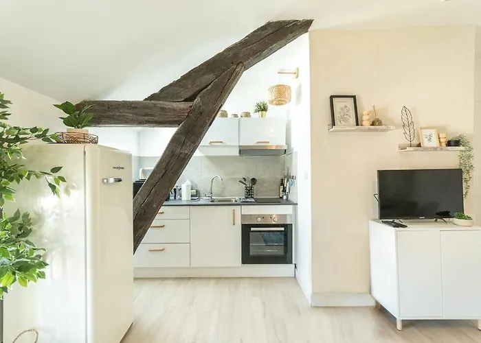 Apartamento Immeuble L'aristocrate - Le Boho- Bd Carnot