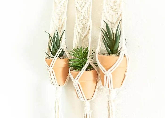 Immeuble L'aristocrate - Le Boho- Bd Carnot *