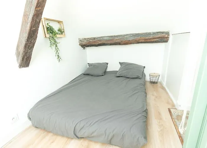 Immeuble L'aristocrate - Le Boho- Bd Carnot * Angers